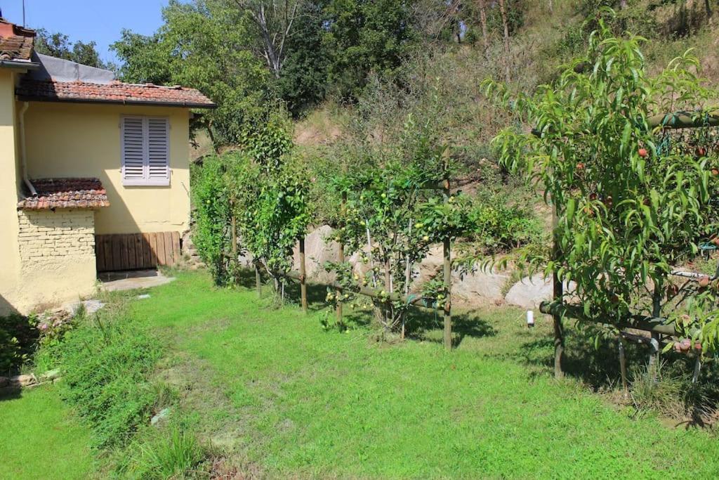 Casa Barulli - Tuscany San Giovanni Valdarno Zewnętrze zdjęcie